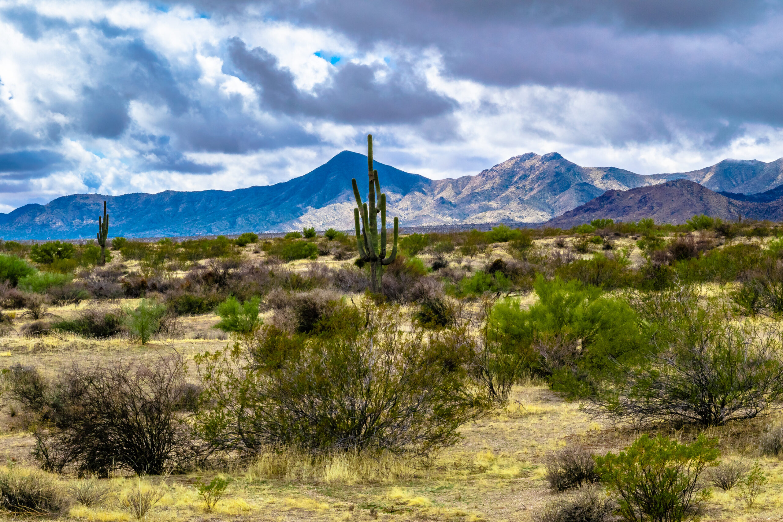 Montare Behavioral Health Tucson | Behavioral Health Treatment