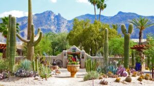 Things to do in Tucson Arizona that benefit mental health