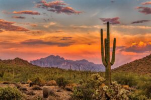 The best inpatient mental health facilities in Arizona