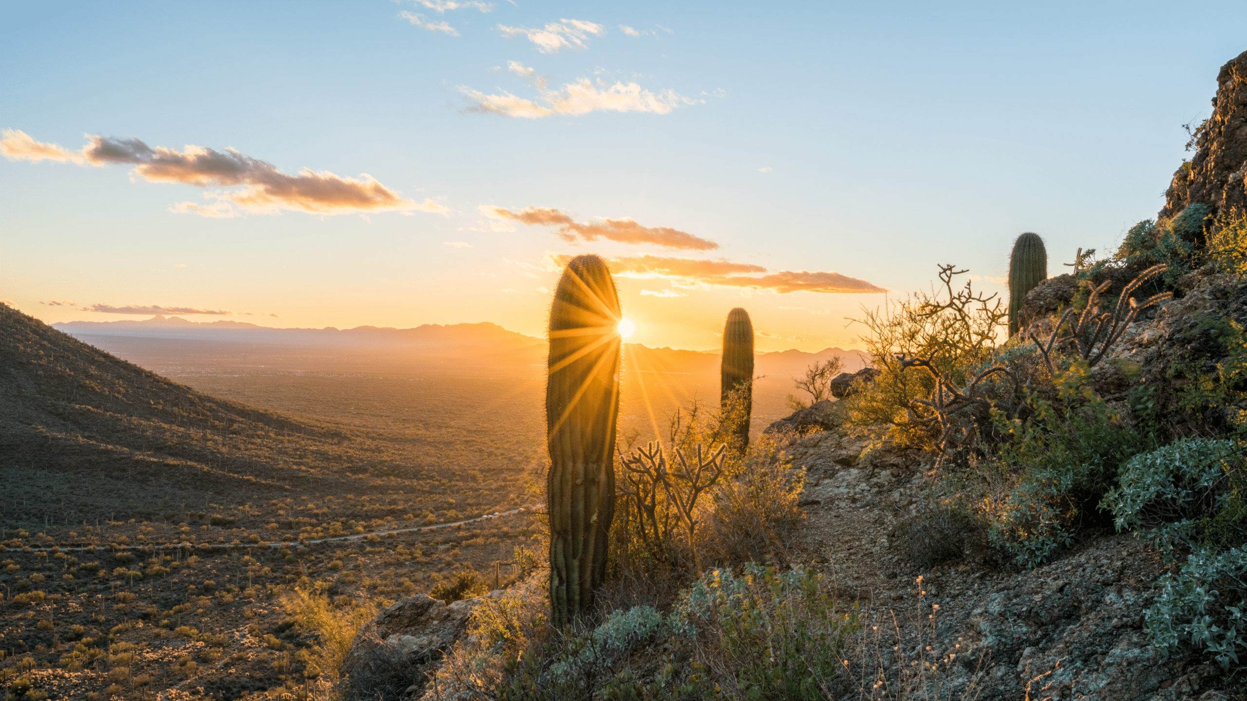 Arizona's Premier Detox Program at Montare Tucson's Recovery Center in Tucson AZ